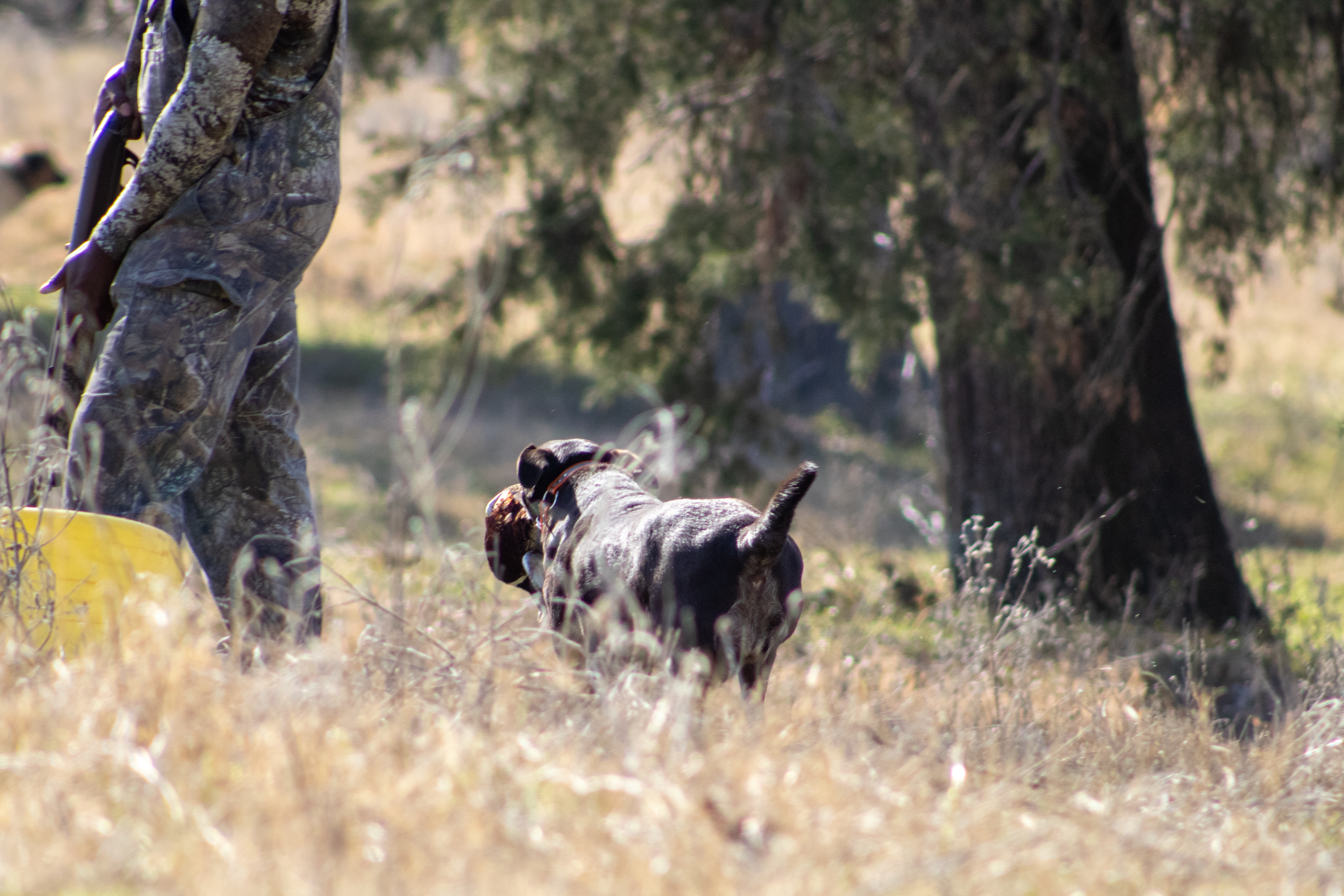 Fun in the field